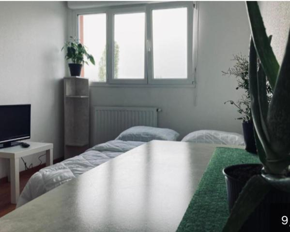 Zenith Strasbourg 2 Chambre Eckbolsheim Extérieur photo